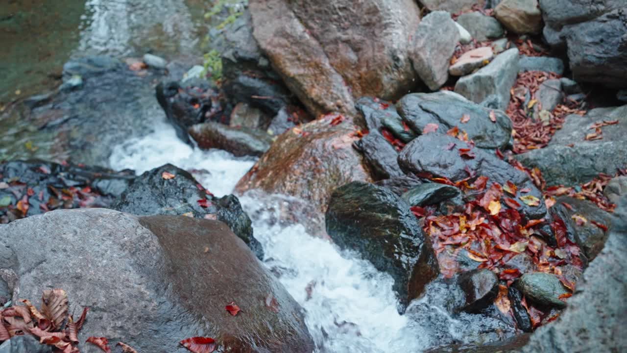 hojas de otoño en las rocas en un arroyo burbujeante, escena de naturaleza tranquila, vibrantes colores de otoño