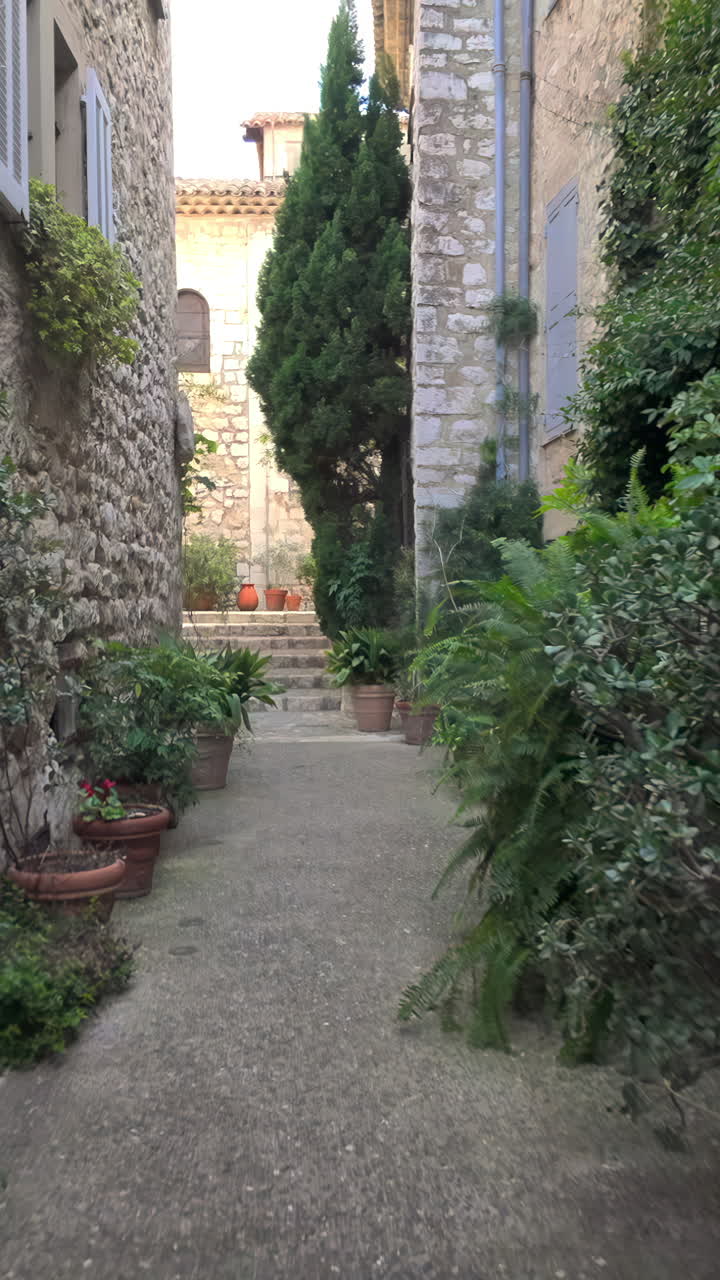 Vista di una stretta via acciottolata, ricca di vegetazione a Saint Paul de Vence, Francia. Verticale