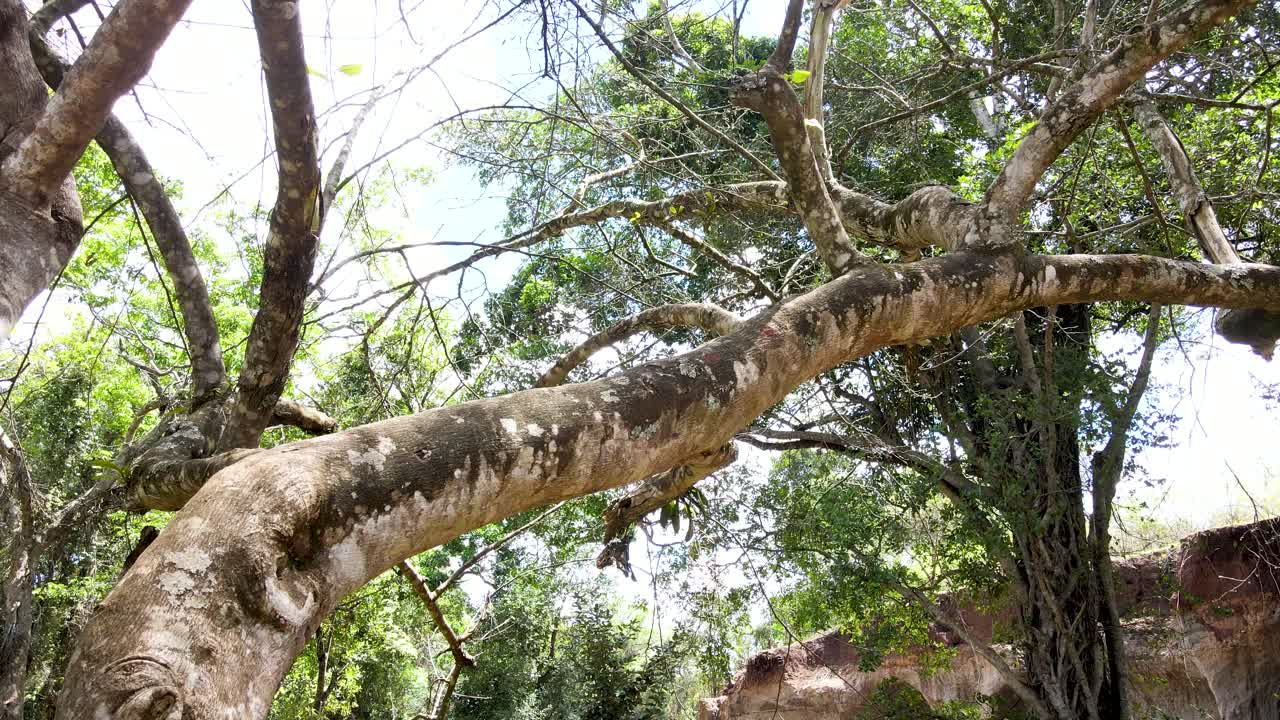 cielo de la aldea al aire libre hermoso paisaje de la aldea del bosque del paisaje aéreo - fotografía aérea del bosque rural kenia - controlador inalámbrico de drones quadcopter