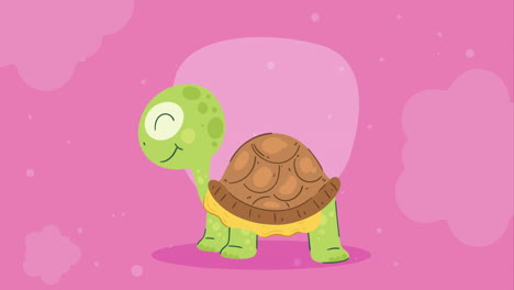 animación de personajes de tortuga de pie