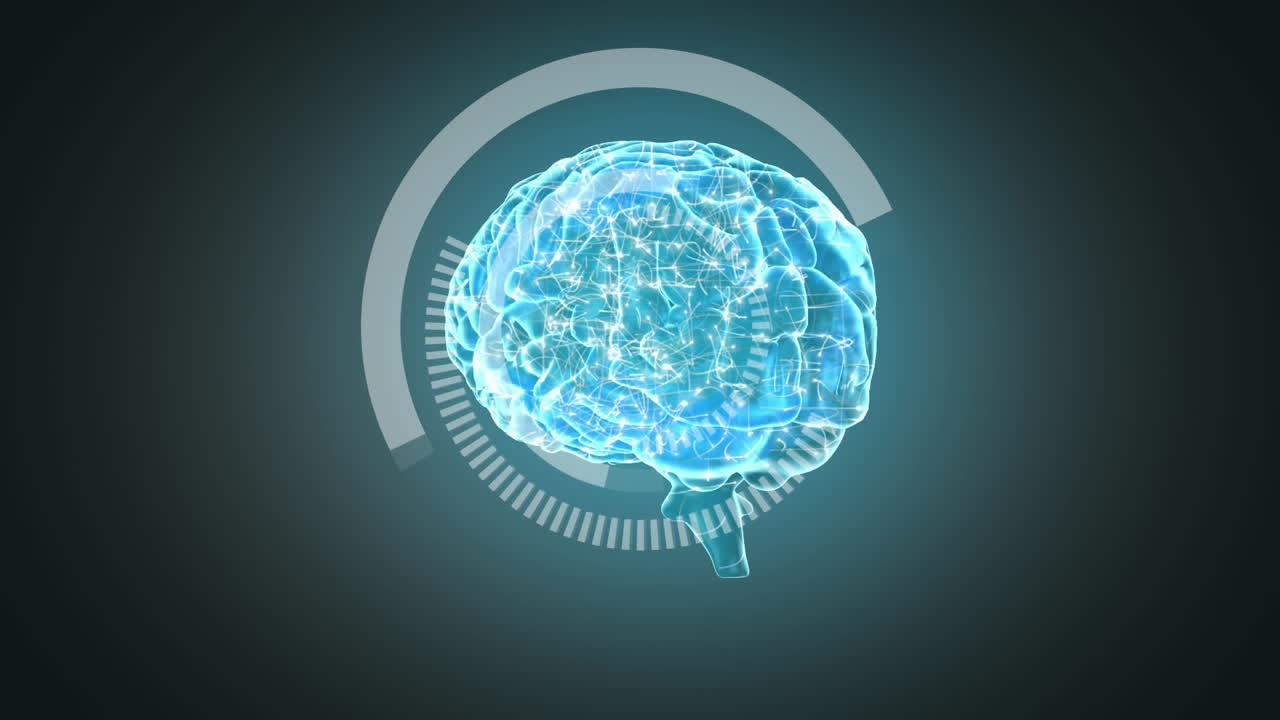 3D illustration of human brain