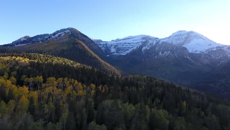 Fall-colors,-Golden-Quaking-Aspens,-rugged-snow-capped-mountains-and-fluffy-white-clouds-are-part-of-the-autumn-scenery-in-American-Fork-Canyon-as-seen-by-drone