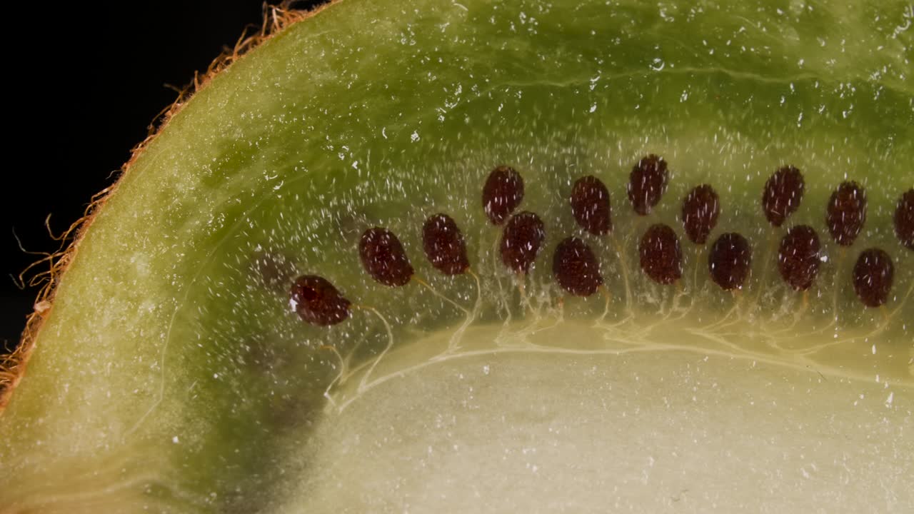 흑색 배경에 신선한 녹색 키위와 씨 과일의 매크로  슬라이스, 주시 신선한 익은 맛있는 슬라이스 키위 과일, 클로즈업.