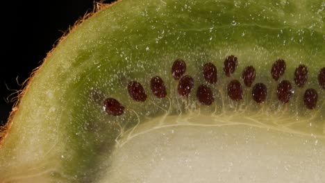 una rebanada macro de kiwi verde fresco y semillas de fruta sobre un fondo negro. una juicosa fruta de kiwi fresca, madura y deliciosa, cortada en rodajas, de primer plano.