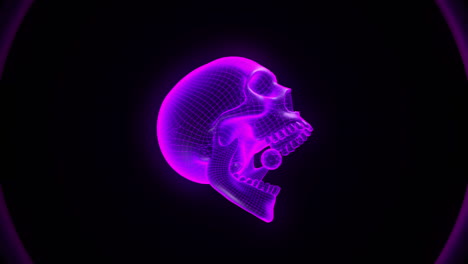 vj loop - skull bite with color cycle