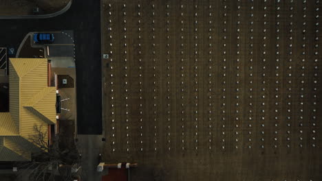 top down view of headstones in fayetteville, in rows and in circle, forward