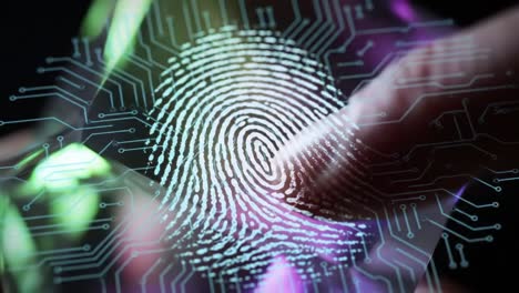 exploring the intersection of technology and security: a close-up on fingerprint recognition with digital circuit patterns representing authentication and identity verification