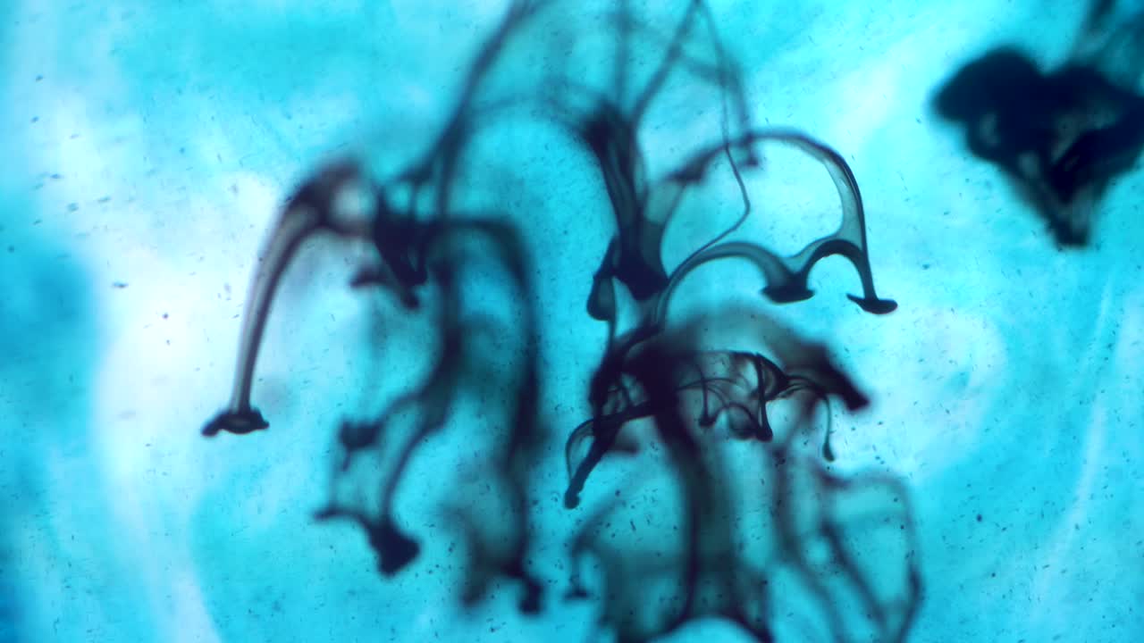 experimento de tinta en agua