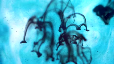 ink in water experiment