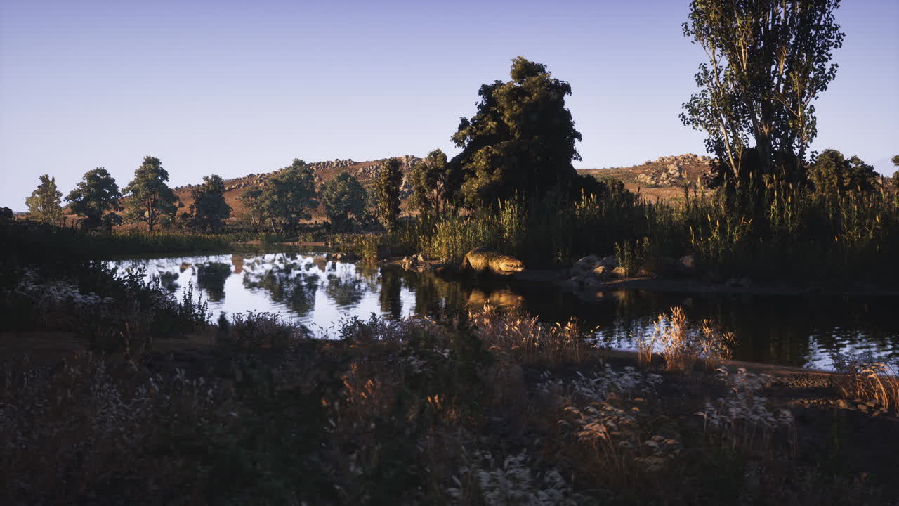 Coccodrillo che si crogiola vicino al fiume tranquillo in un paesaggio lussureggiante al tramonto.
