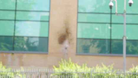 close up side view of young woman exercising running along city street wearing wireless earbuds