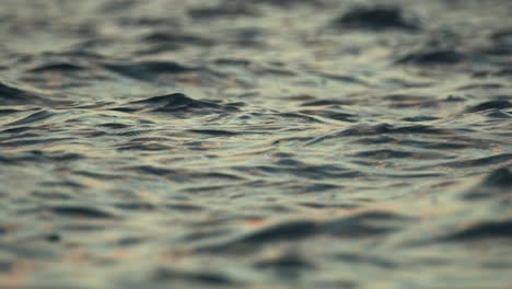 wellenförmige wasseroberfläche im morgengrauen, selektiver fokus, vollformat-zeitlupe