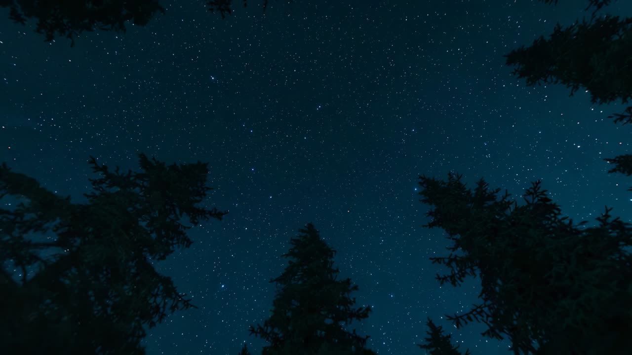Fixed camera capturing star field drifting eastward above fir silhouettes in forest, constellations