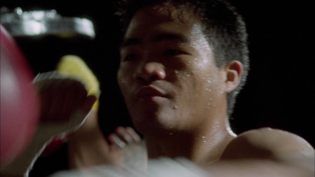 Boxers punch speed bags in their training