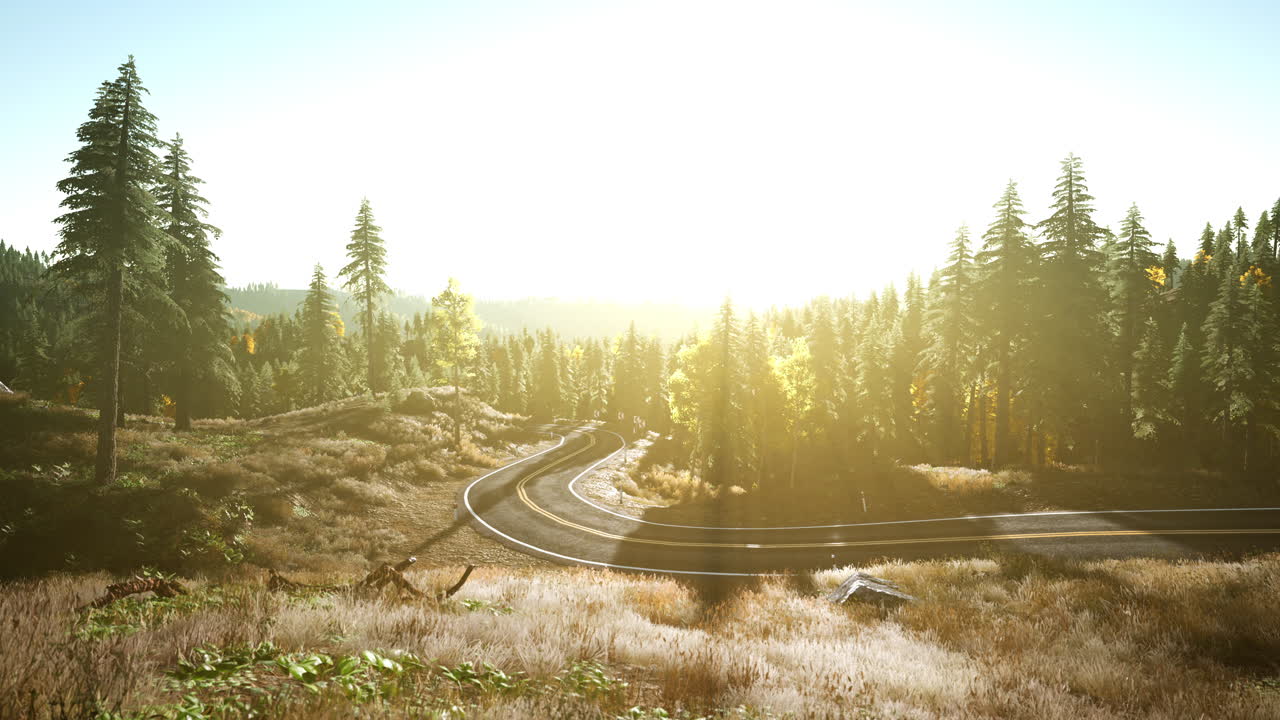 camino sinuoso a través de un bosque