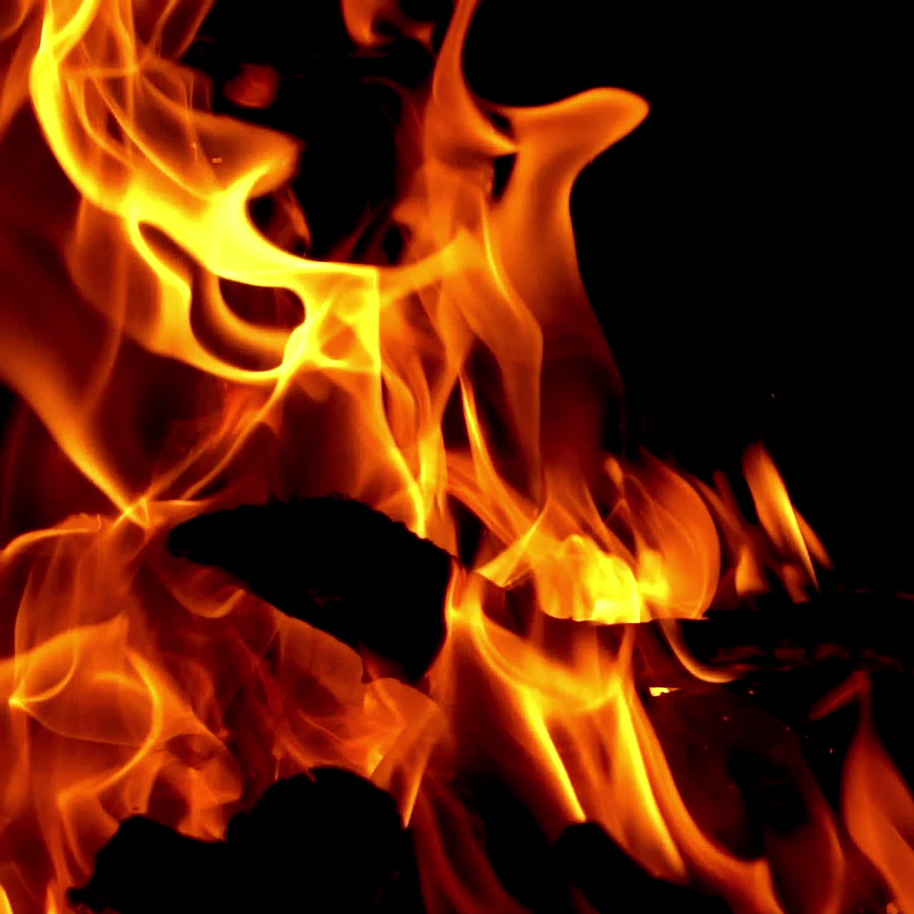 Bonfire. Burning Wood in Slow Motion