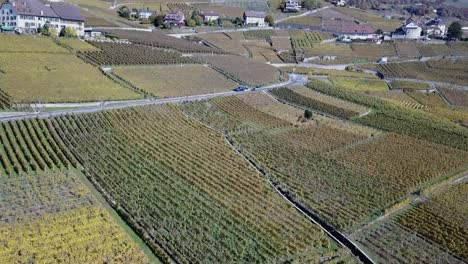 Ein-Auto-Fährt-Auf-Einer-Straße-In-Den-Lavaux-Weinbergen,-Waadt,-Schweiz,-Drohnen-Luftaufnahme