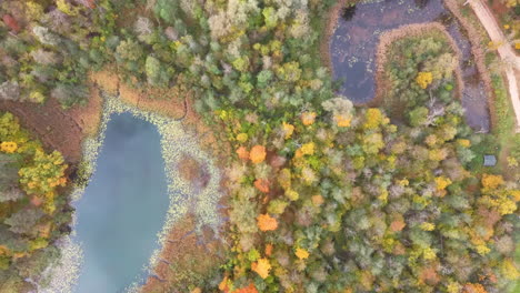 autumn landscape of the autumn bright multi-colored trees, green, orange and reddish tint