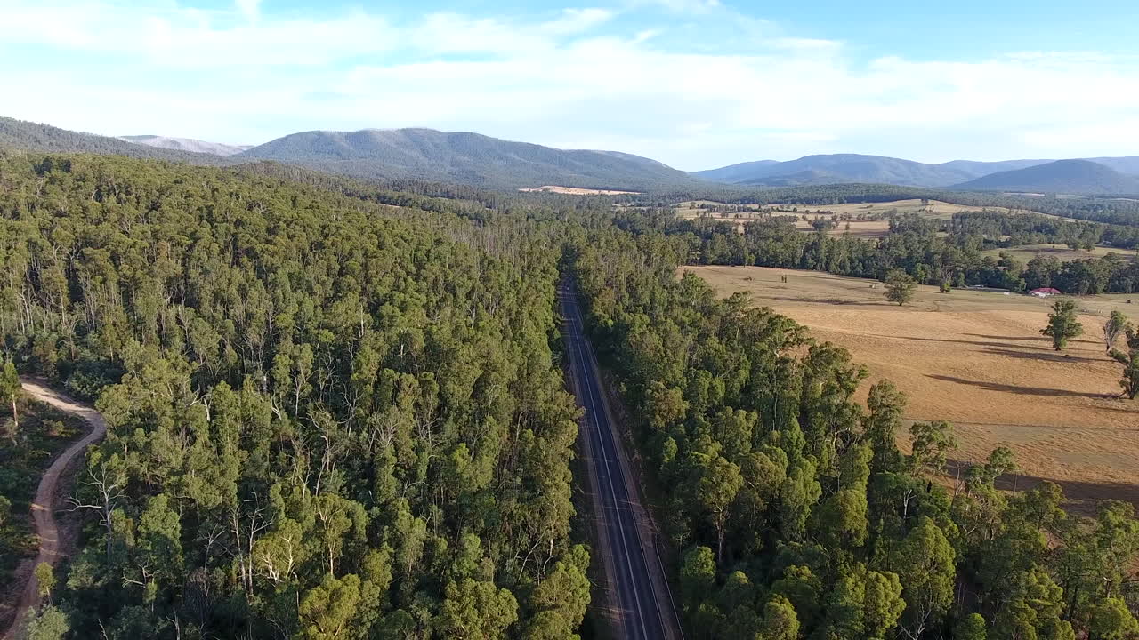aéreo del bosque cerca de la tierra rural