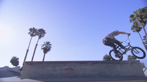 low angle view of a bmx bike rider doing a wheelie at a skatepark