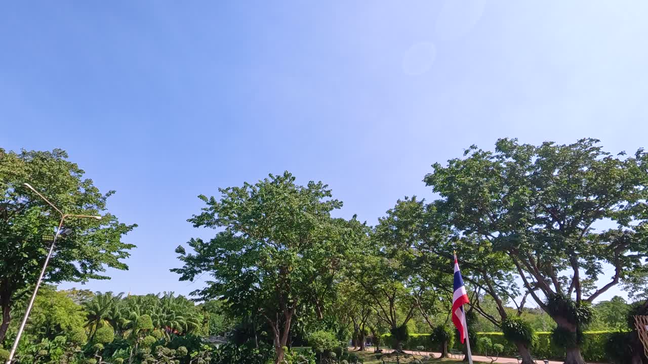 A serene view of trees and flags under a clear blue sky in Rama IX Park, Bangkok, captured in natural daylight