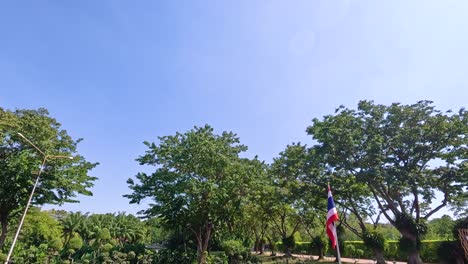 una vista serena de árboles y banderas bajo un cielo azul claro en el parque rama ix, bangkok, capturado en la luz natural del día