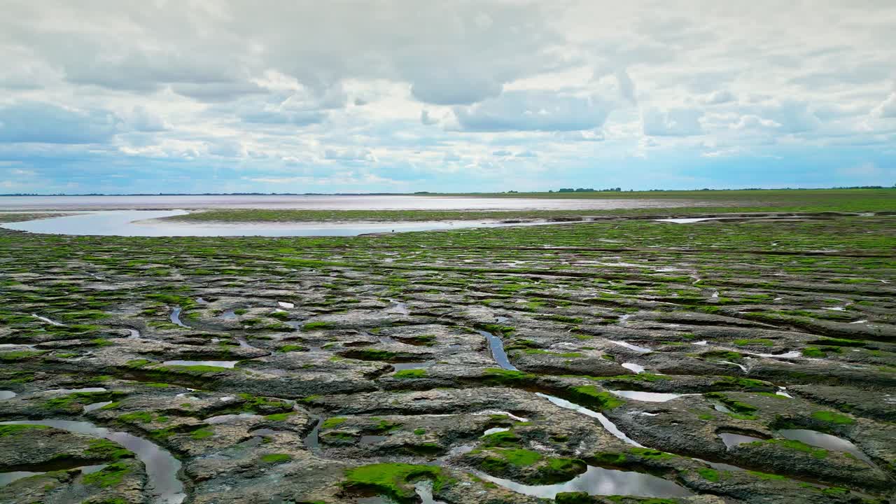 pisos de barro agrietados en un pantano salado