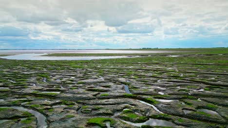 cracked mud flats in a salt marsh