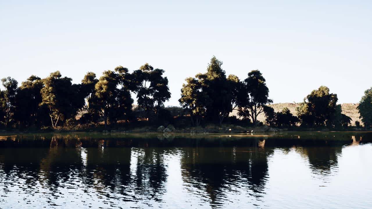 lago tranquilo que refleja los árboles al atardecer con cielos despejados en un paisaje sereno