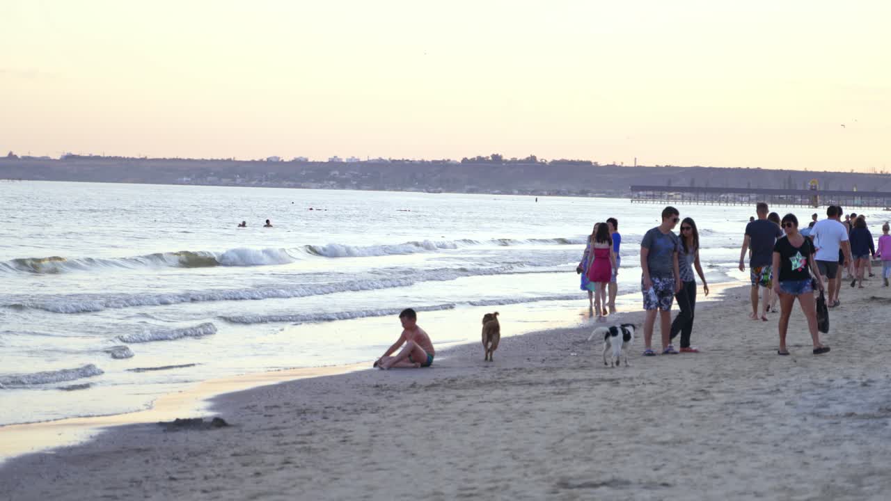 People walking on the beach near the sea. Dogs are playing on the seashore in the evening. Summer vacation at the seaside.
