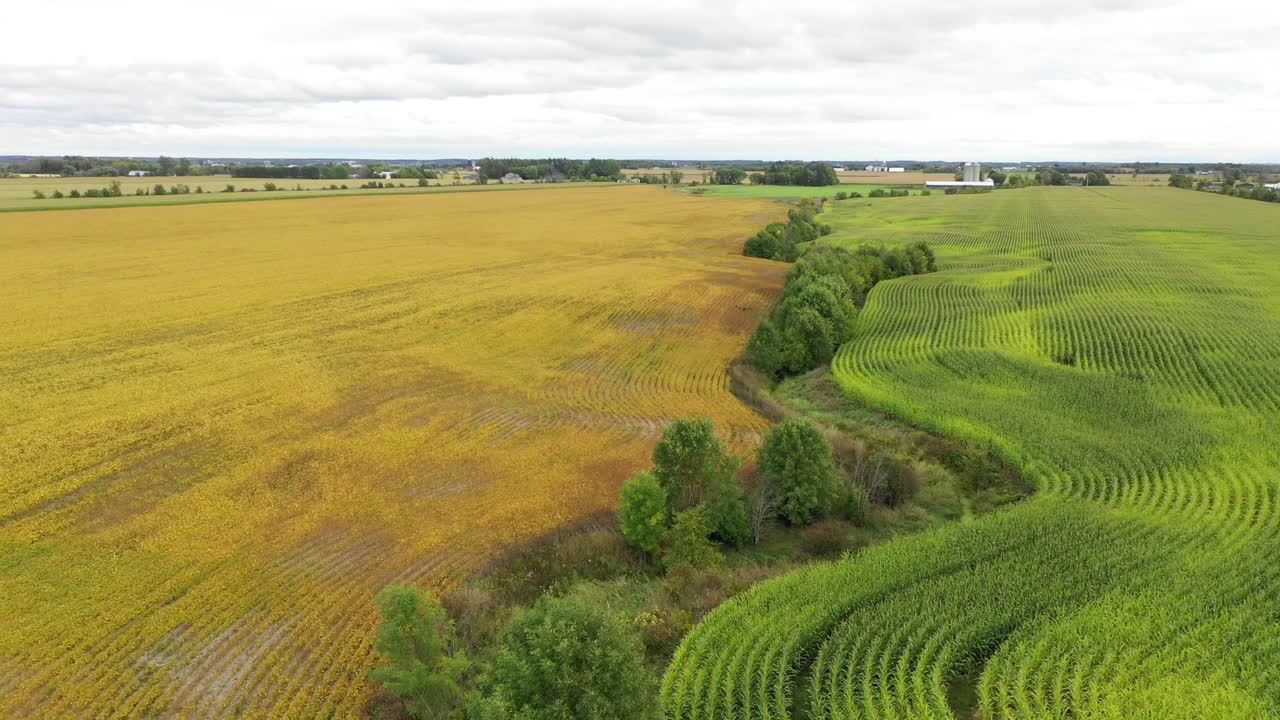 farm fields separated by twisting creek and strong contrasting colors