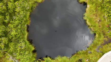 reflection of a drone in a lake and the aerial video of lakes in the forest