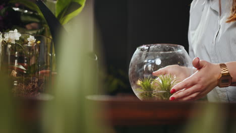 woman arranging an air plant terrarium