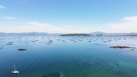 aerial view of ships and mussels seafood farms in ría de arousa, galicia, spain