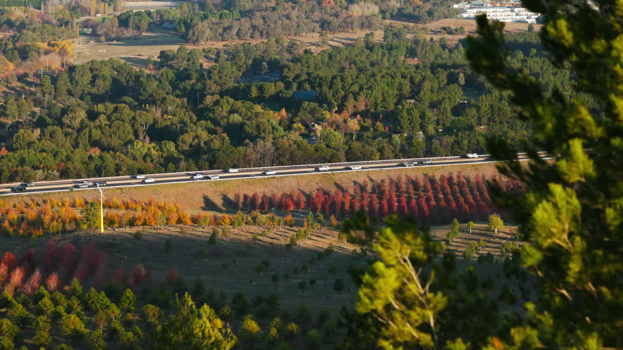 Vehicles move from left to right across the frame on a highway lined with autumn trees, depicting Canberra’s seasonal transit scenes.