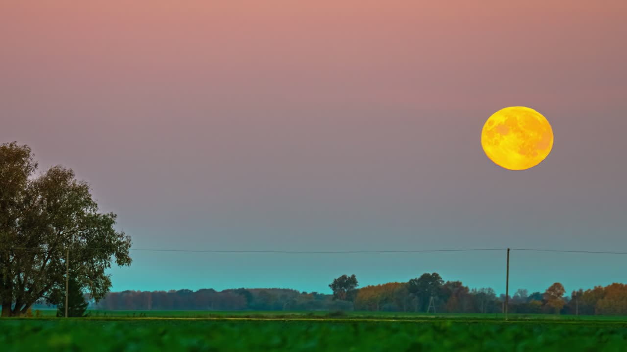 緑の風景の上に、大きな黄色い太陽が青い空に沈む。