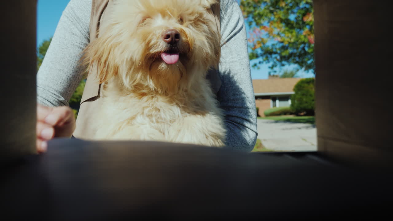 팔에 작은 개를 안고 있는 젊은 여성이 우체통에서 편지를 집어든다