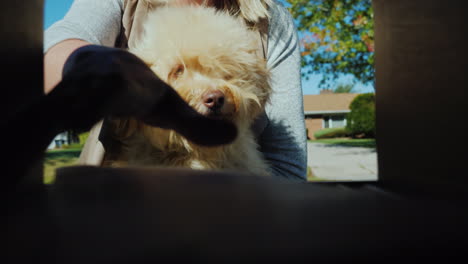 Eine-Junge-Frau-Mit-Einem-Kleinen-Hund-Im-Arm-Nimmt-Briefe-Aus-Einem-Briefkasten