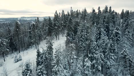 Wunderschöne-Naturkulisse-Der-Ukrainischen-Berge-Im-Winter---Antenne