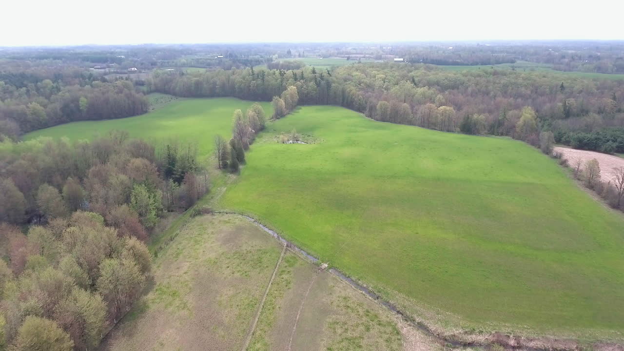 Drone Shot Moving Forward of Green Field and Forest