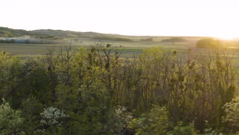 aerial: drone orbiting around green forest creating side angle parallax with light leak on horizon sky. rural background with villages and agriculture fields around.