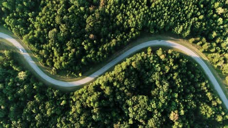 cinematic birds eye view shot of a white car driving down a long and bendy road in italy during a lovely sunny day