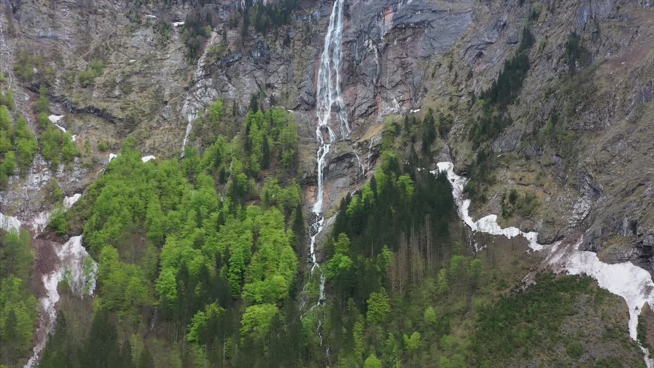 Cascata di Montagna nella Foresta Primaverile