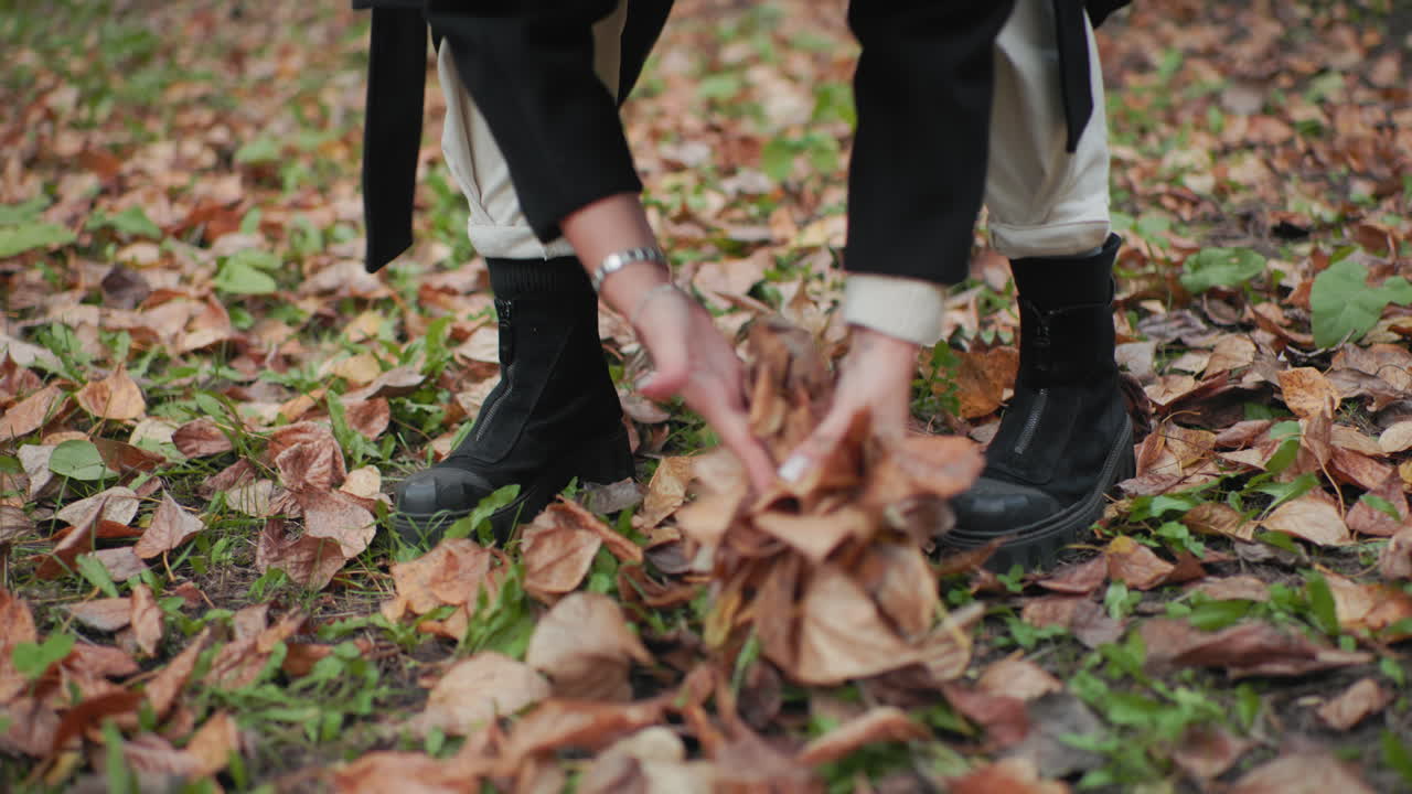 Lower view of autumn stroller crouching and gathering dry leaves by hands on forest path, black boots and coat over white trousers, close action shot with earthy texture, calm seasonal mood