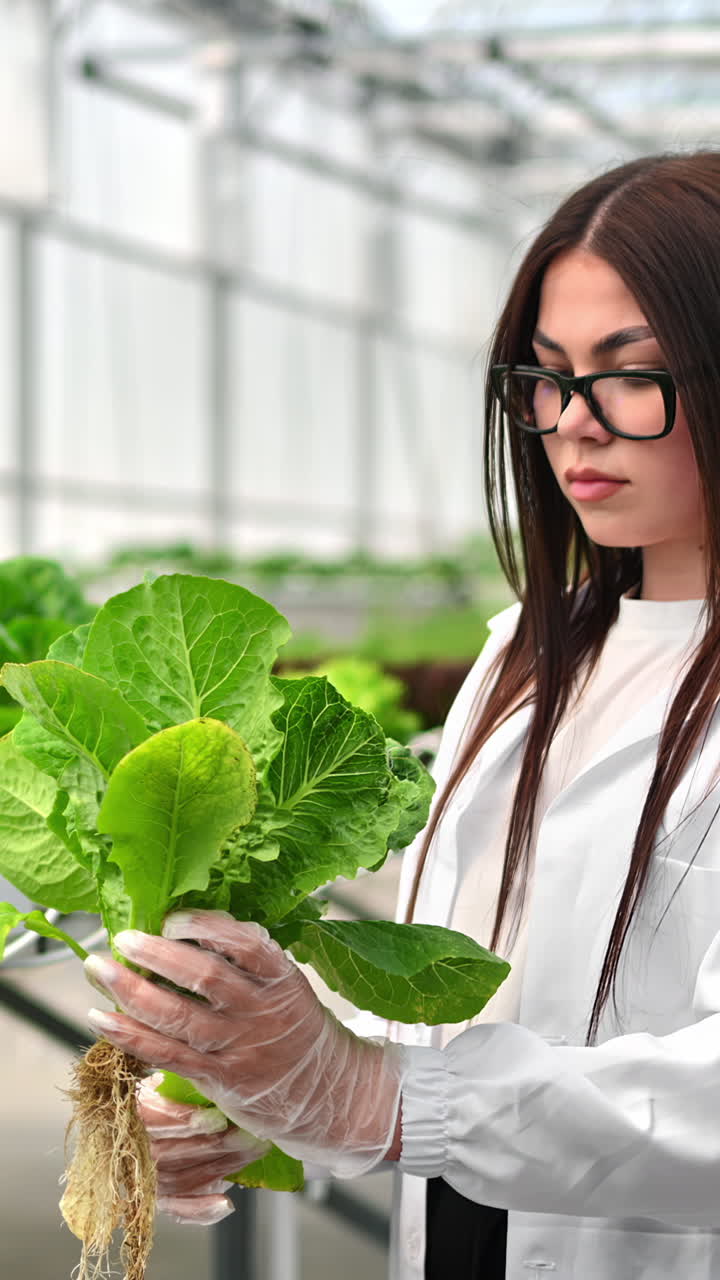 Laboratory technician in a white coat, analysing lettuce grown with the Hydroponic method in a greenhouse. Vertical