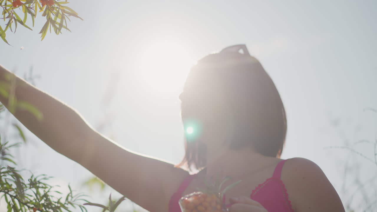 햇살이 비치는 덤불 속으로 손을 뻗어 씨앗이 담긴 유리병을 들고 있는 백인 여성, 렌즈 플레어 역광, 분홍색 상의와 선글라스를 착용, 부드러운 바람, 사색에 잠긴 표정, 초원의 텍스처, 평화로운 여름