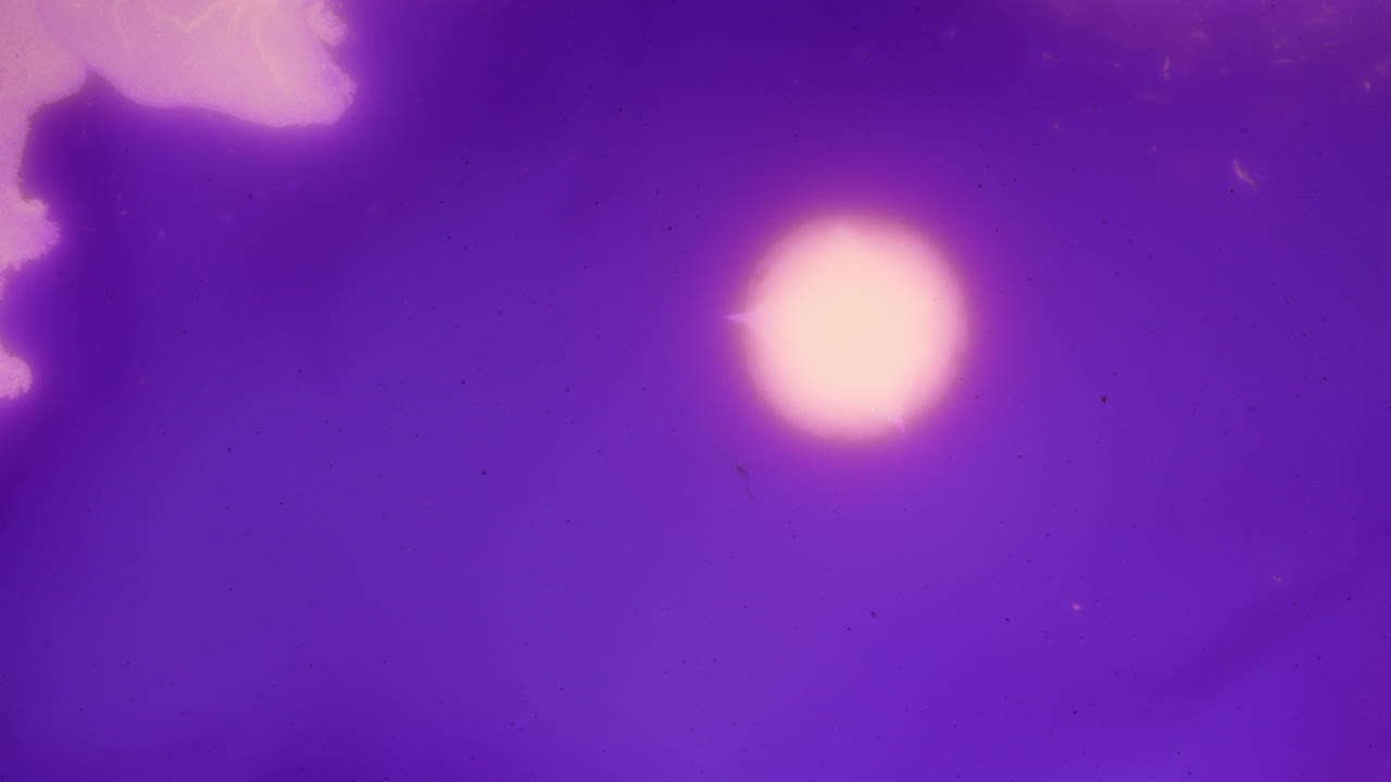 추상적인 보라색 액체는 액체에서 창합니다.