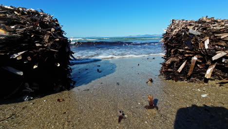 escena de la playa, con ondas suaves arrastrándose a la orilla arenosa con grandes pilas de algas
