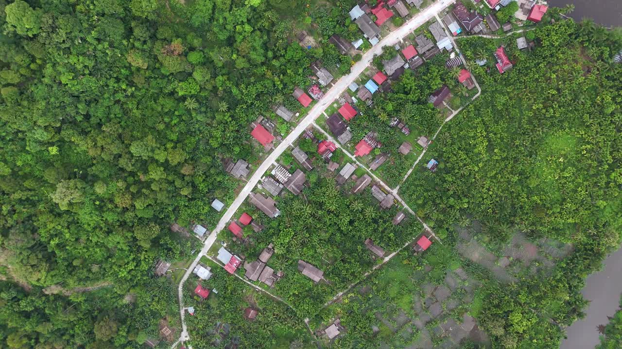 Drone aerial view of trees tropical rainforest jungle west sumatra Mentawai Islands Regency indonesia small village