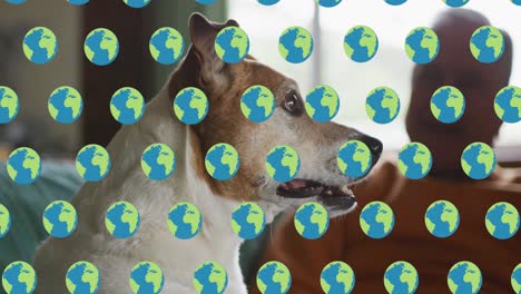 Animación-De-Iconos-De-Globo-Terráqueo-Sobre-Perro